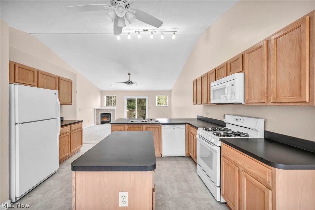 1024 St Michaels Way Madison, OH 44057 - Photo 3 of 47