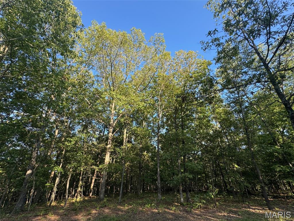 150 Steeple Point Drive Defiance, MO 63341 - Photo 2 of 4