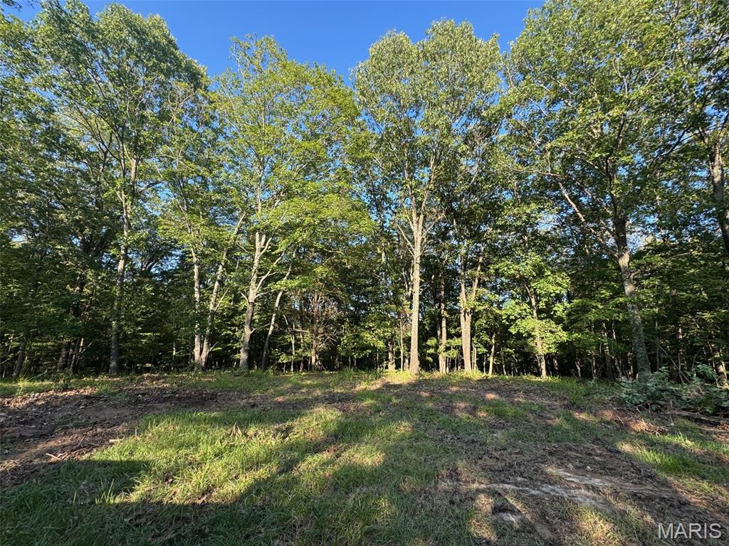 150 Steeple Point Drive Defiance, MO 63341 - Photo 4 of 4