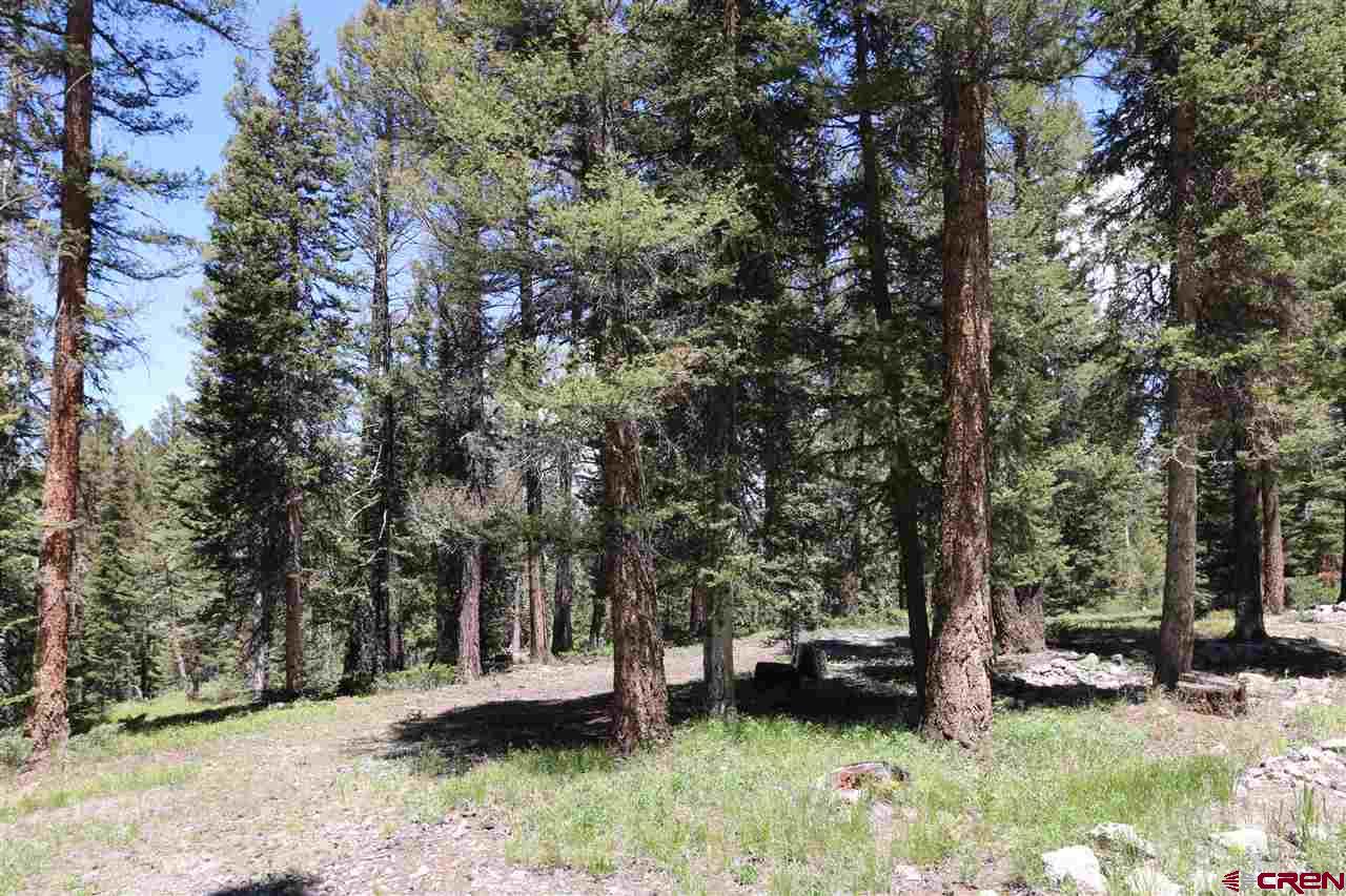 137 Ridge Road Cimarron, CO 81220 - Photo 2 of 6 Gallery Image 2