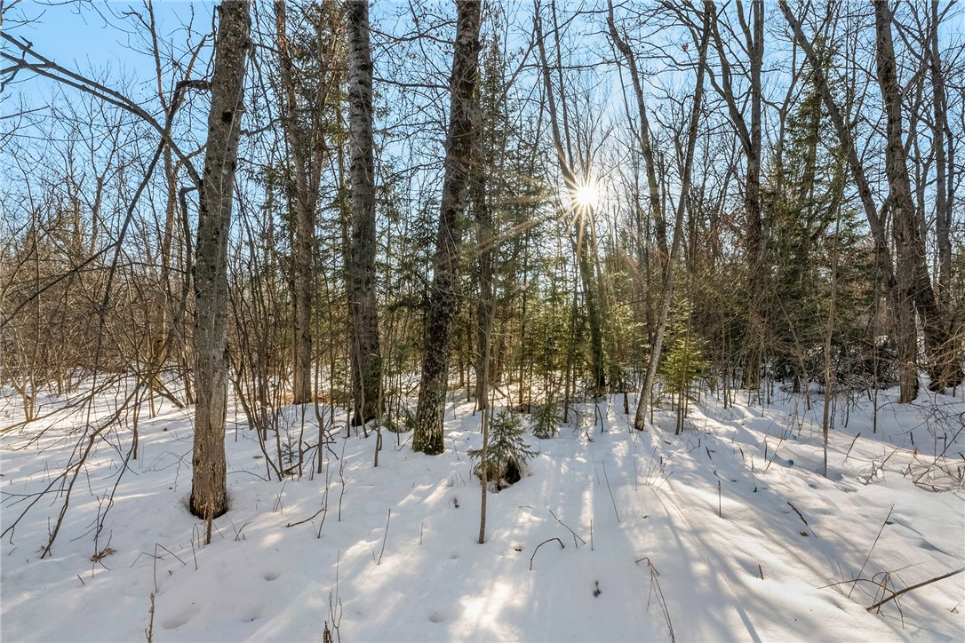 431 Spring Lake Road Rhinelander, WI 54501 - Photo 30 of 38 .81 of an acre