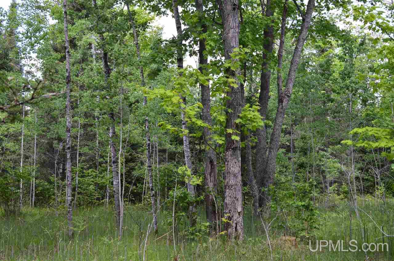 Tbd Premo Dam Road Amasa, MI 49903 - Photo 16 of 27 Gallery Image 16