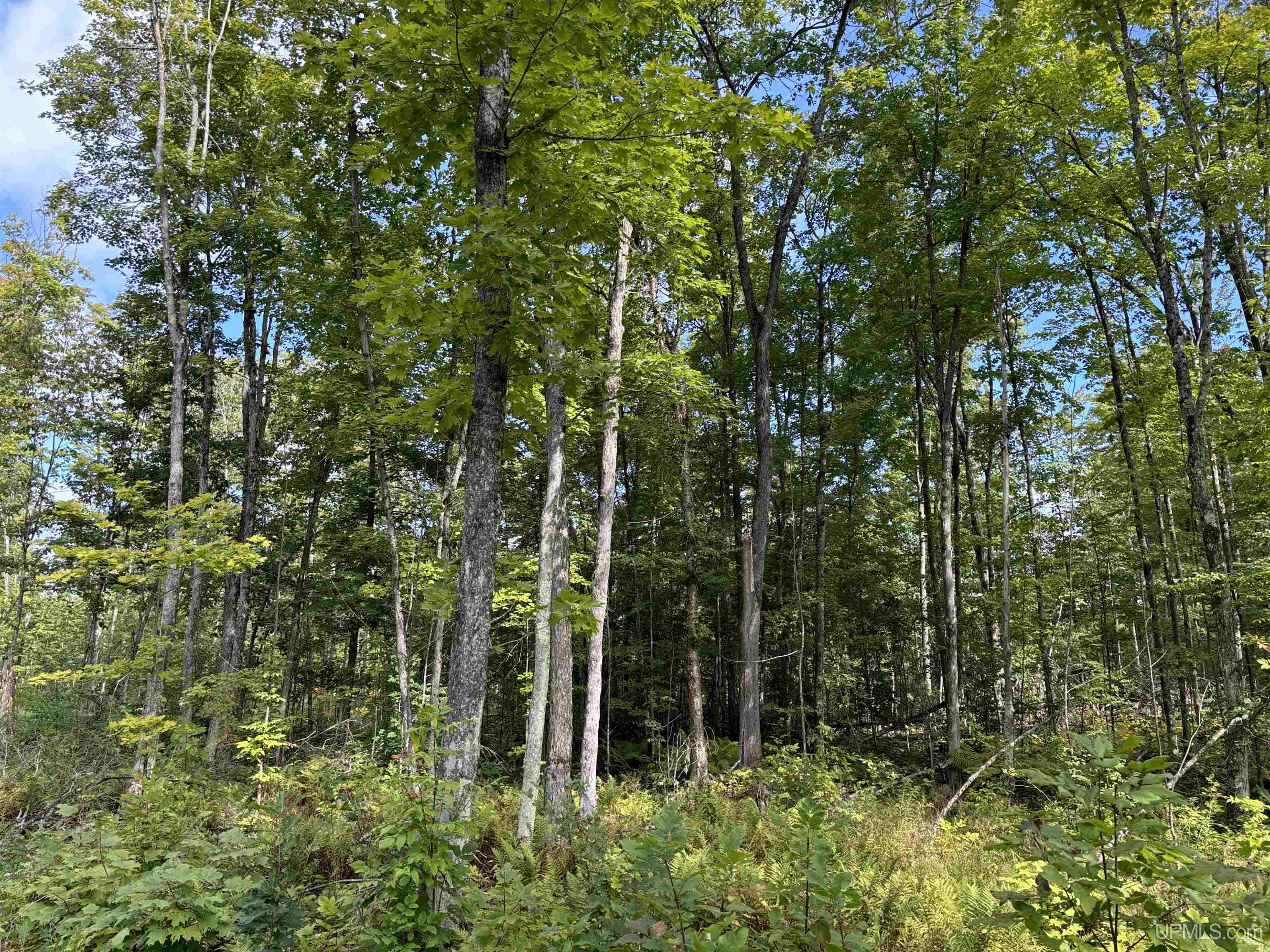 1 Koski Road Bessemer, MI 49911 - Photo 29 of 29
