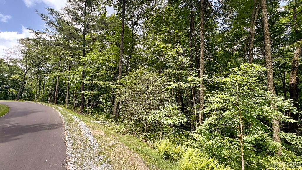 56 Ramble Rdg Road Cashiers, NC 28717 - Photo 22 of 40 Gallery Image 22