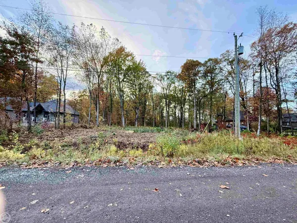$899,000 | 62747 Braun Drive, Washington, MI 48094