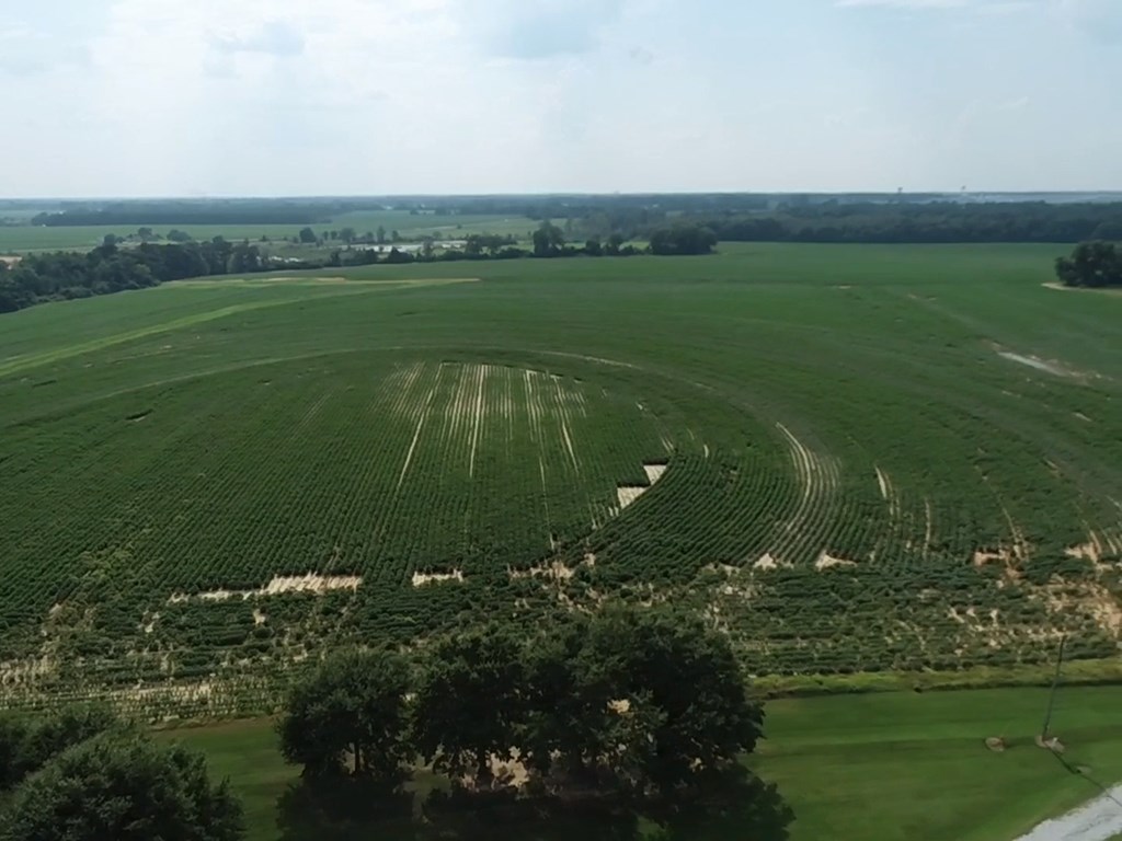 132.3-ac Green Road Dothan, AL 36303 - Photo 36 of 63