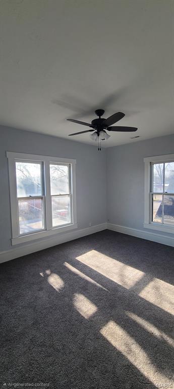 311 West Chester Street Pinckneyville, IL 62274 - Photo 7 of 13