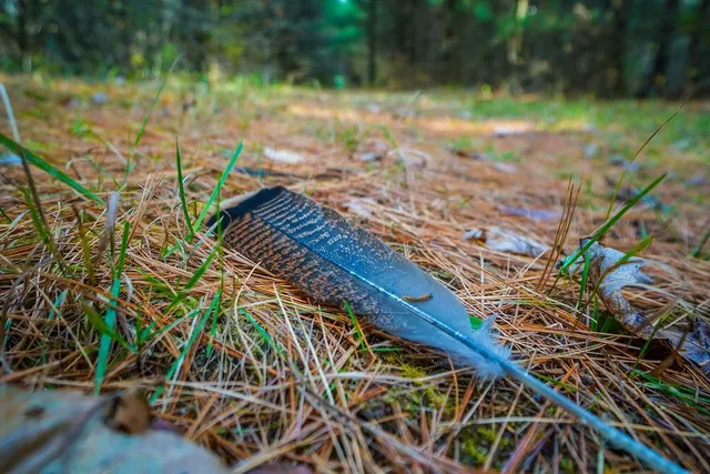 $1,420,000 | E8359 County Road H, Wisconsin Dells, WI 53965