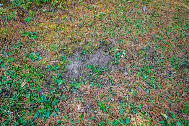 $1,420,000 | E8359 County Road H, Wisconsin Dells, WI 53965