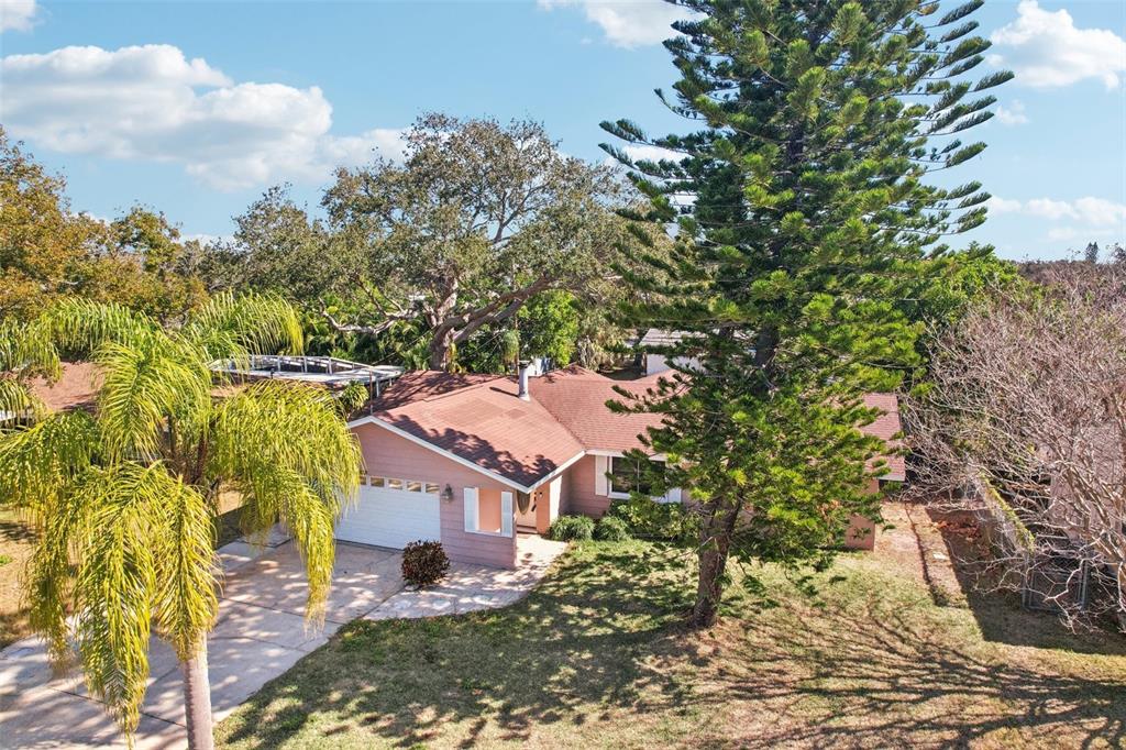 1975 Temple Terrace Clearwater, FL 33764 - Photo 58 of 69