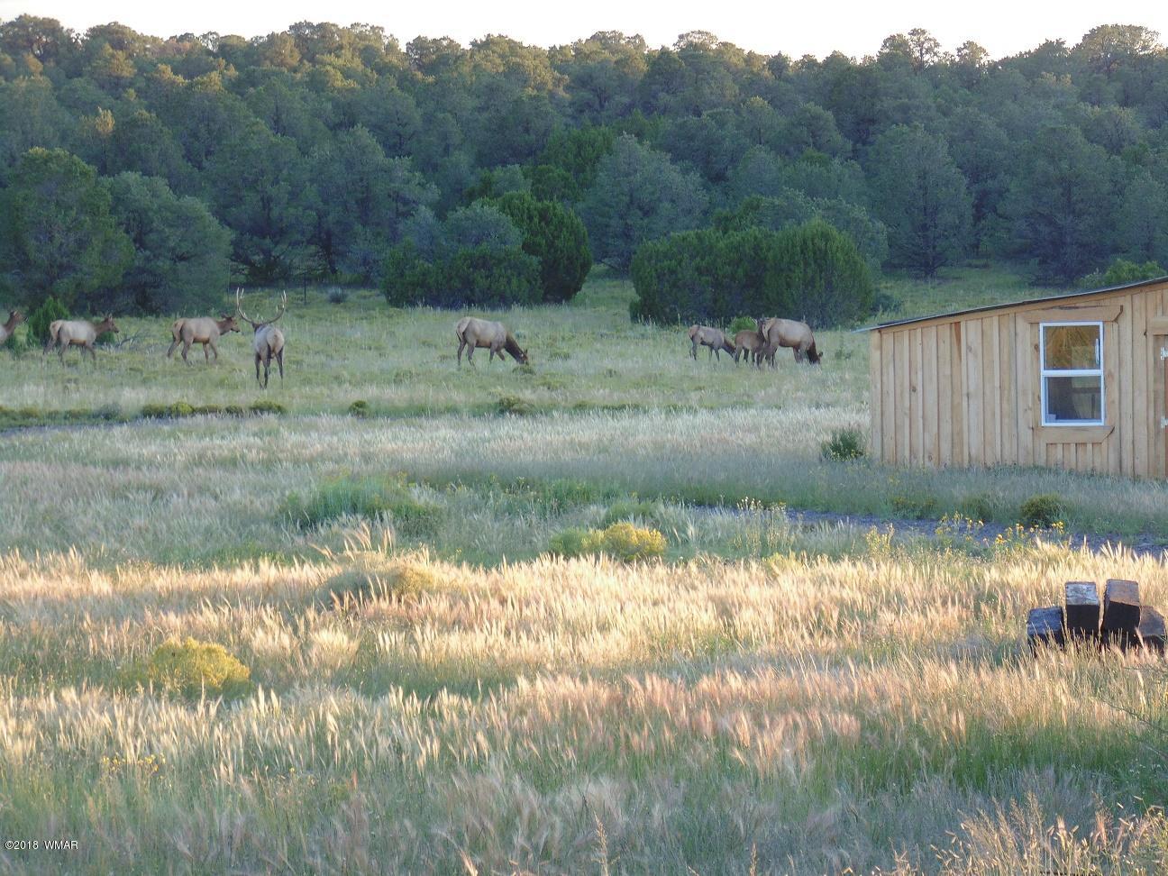 91 Fox Lane Quemado, NM 87829 - Photo 73 of 90