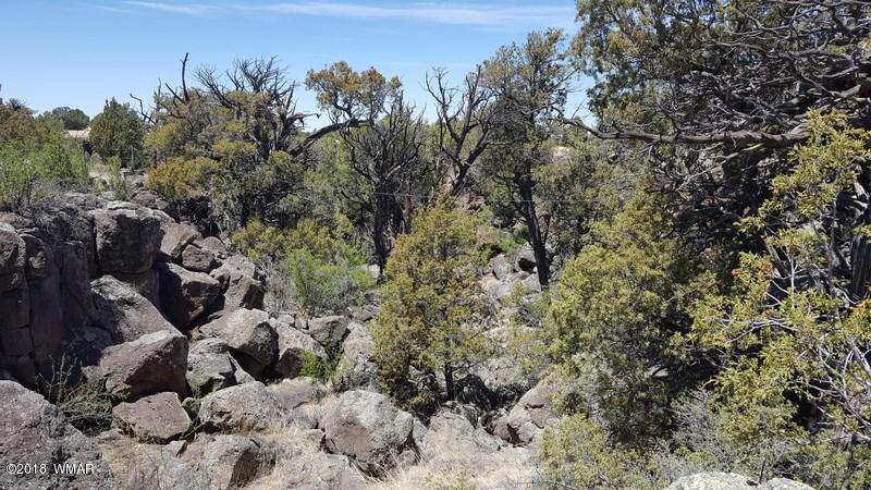 91 Fox Lane Quemado, NM 87829 - Photo 75 of 90