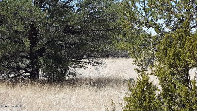 91 Fox Lane Quemado, NM 87829 - Photo 89 of 90