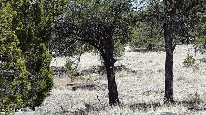 91 Fox Lane Quemado, NM 87829 - Photo 90 of 90