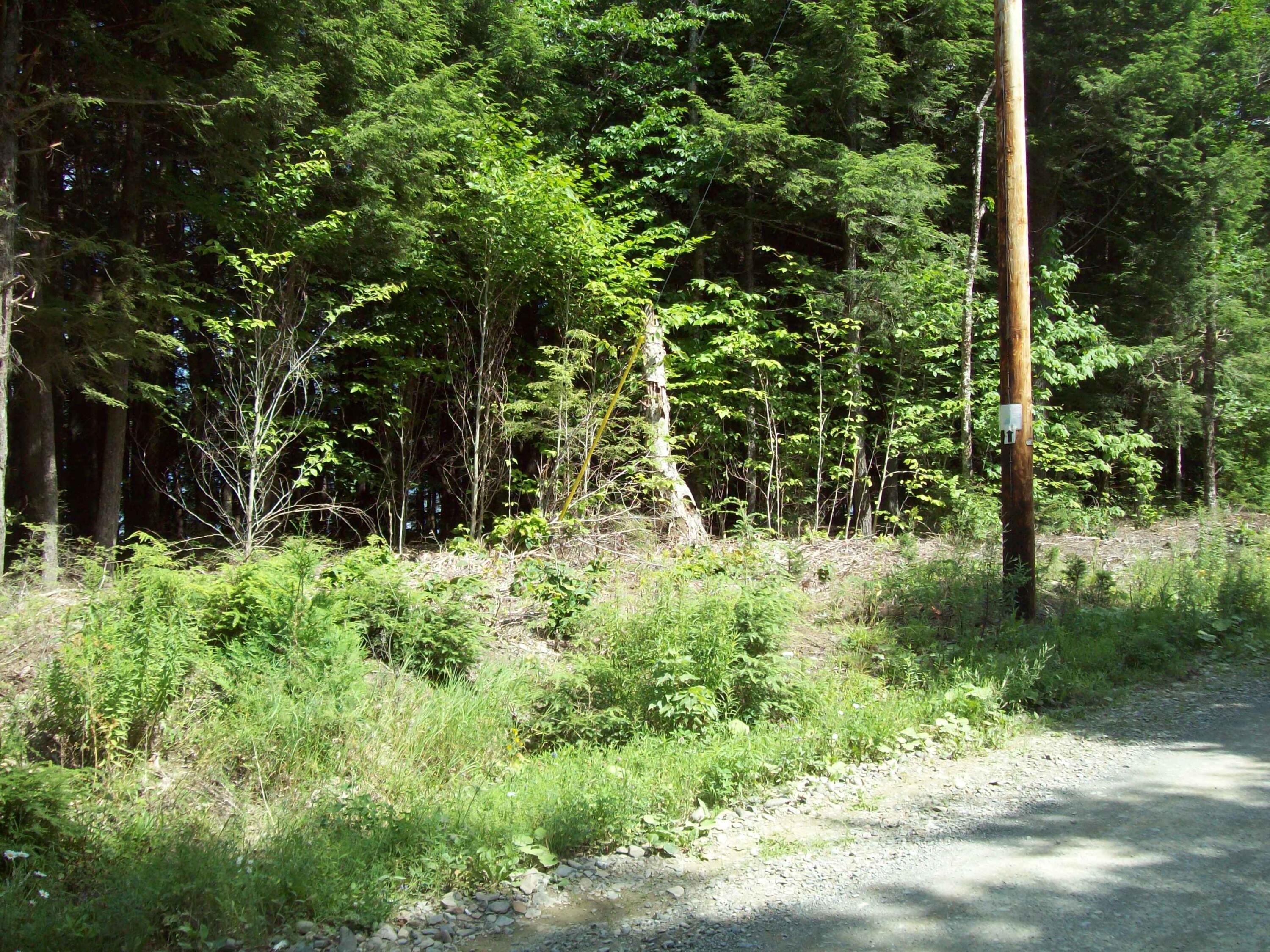 Tbd Little River Cove Road Weston, ME 04424 - Photo 2 of 12 100_3006