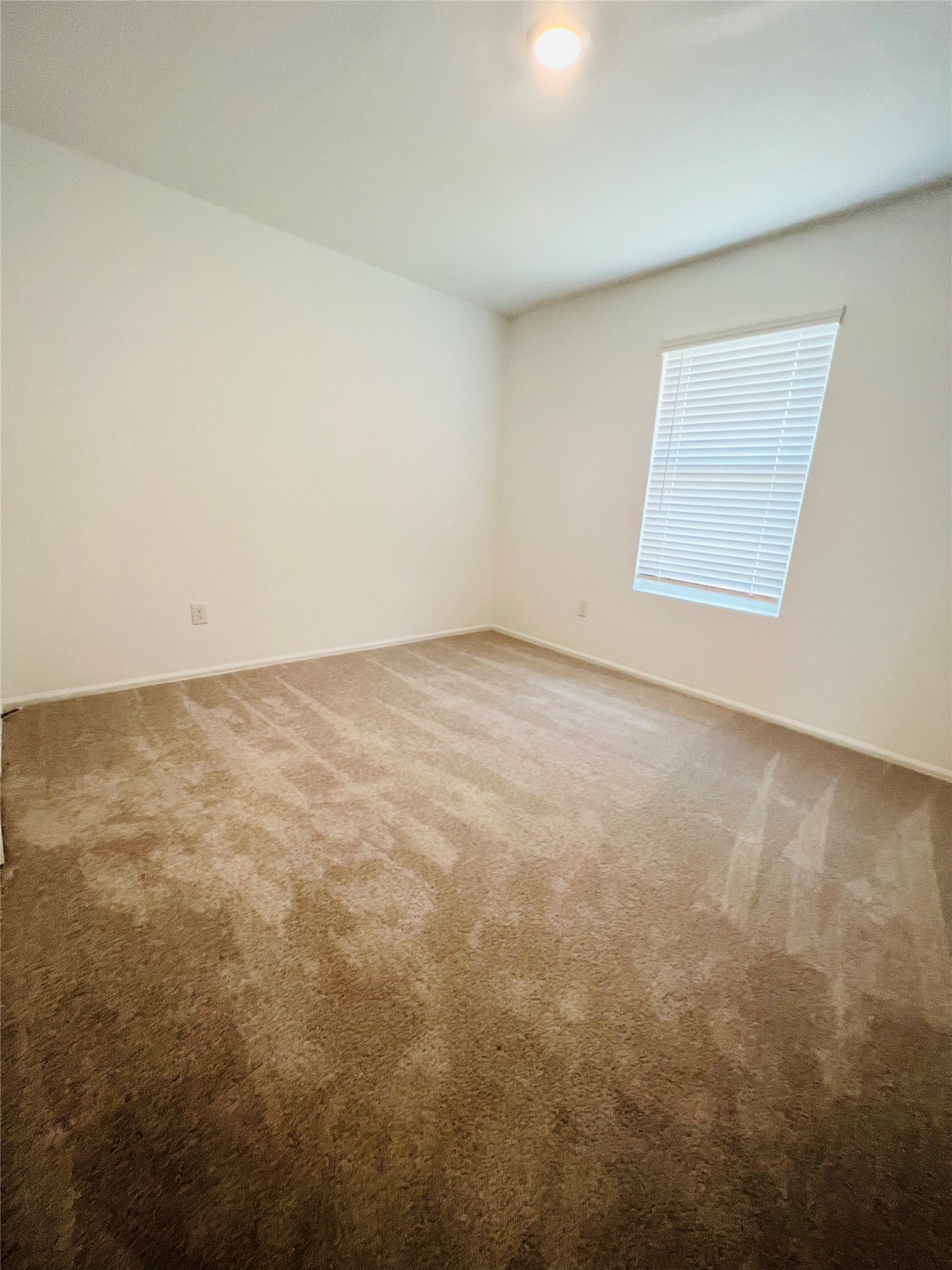 14507 Boyton Holw Trace Rosharon, TX 77583 - Photo 15 of 18
