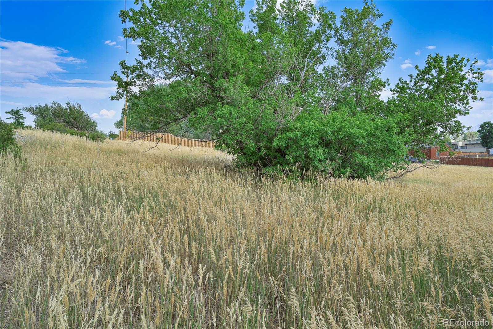 High Street La Veta, CO 81055 - Photo 4 of 17 a view of a yard with a tree