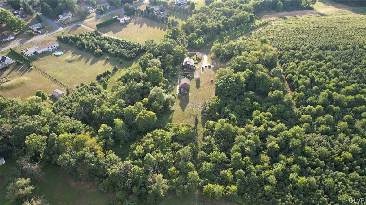 552 Bauer Road Bath, PA 18014 - Photo 36 of 48 a view of a forest