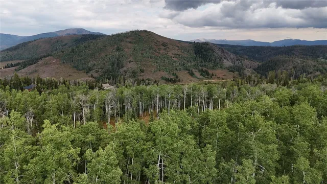 a view of a city with lush green forest