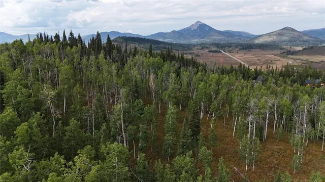 a view of a lake in middle of the green field