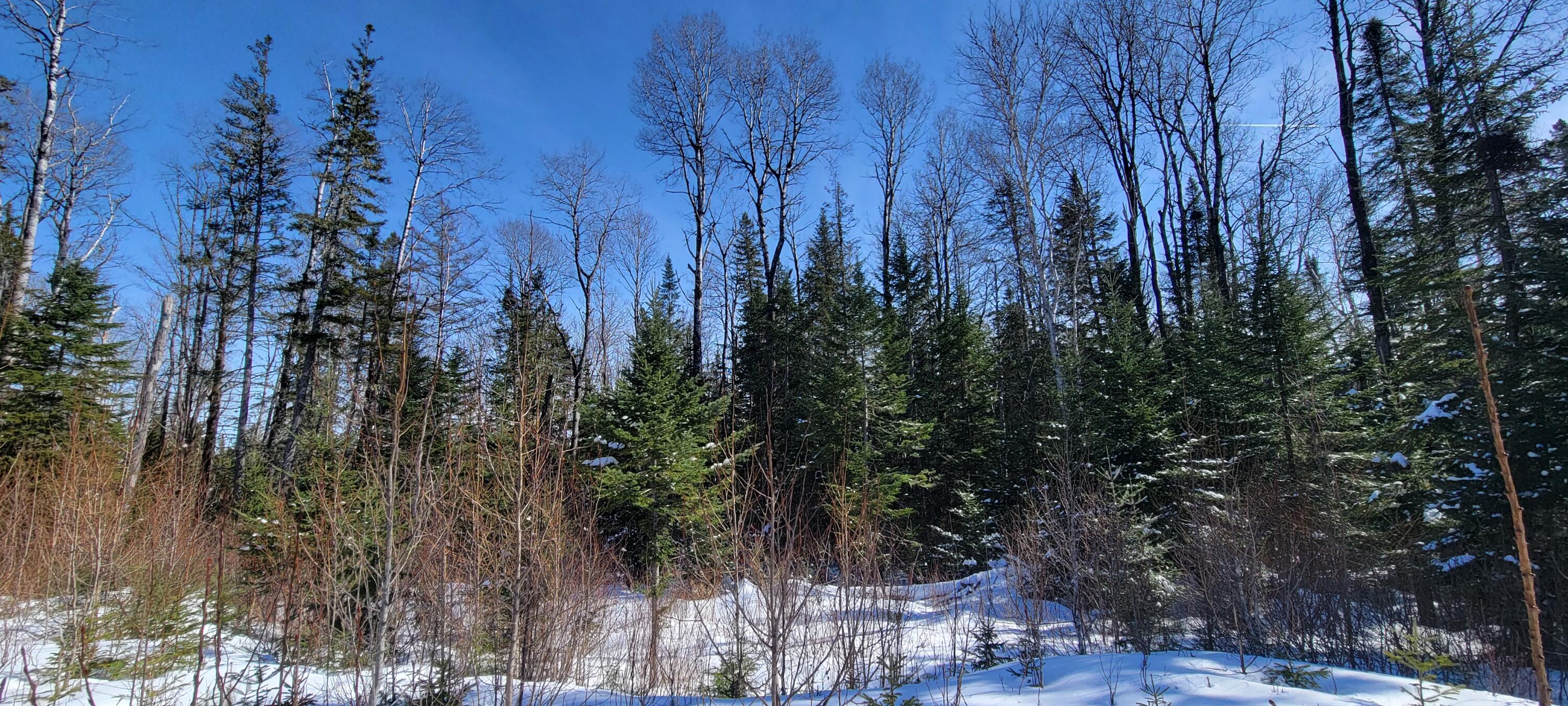 57 A Lavertu Road St. David, ME 04773 - Photo 5 of 16 20240325_143911