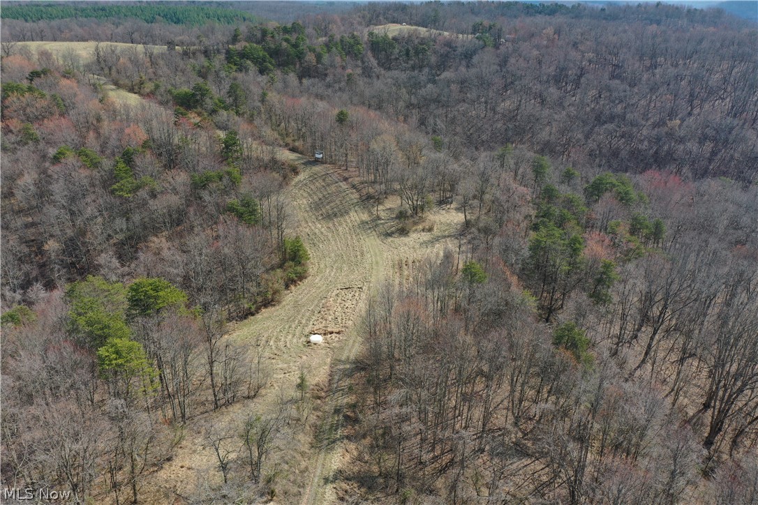 1 Sarvis Fork Road Sandyville, WV 25275 - Photo 7 of 44 Gallery Image 7