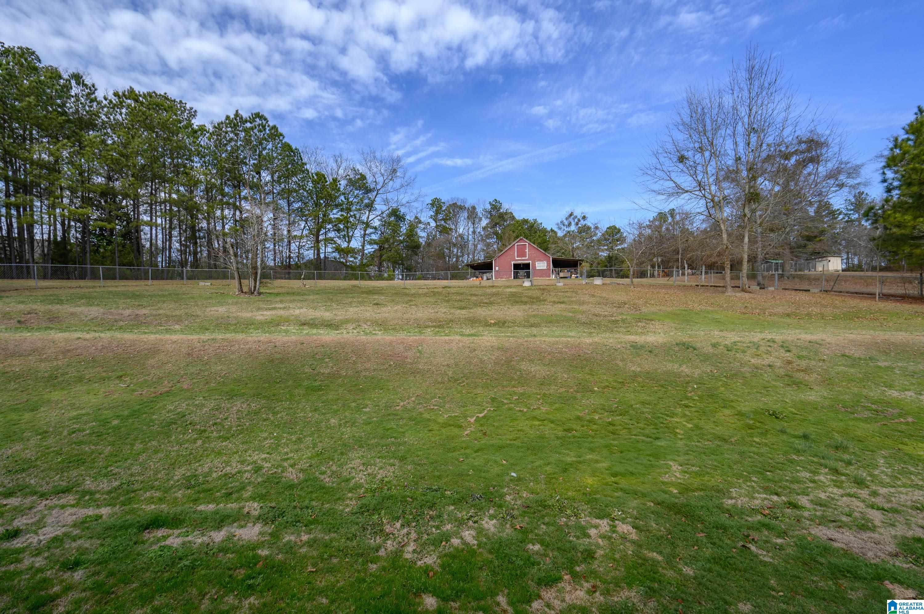 230 Country Club Road Pell City, AL 35125 - Photo 4 of 61