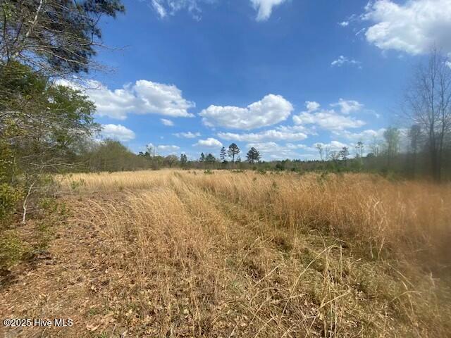 28385 Aberdeen Road Marston, NC 28363 - Photo 3 of 4 tempImageA25Hv8