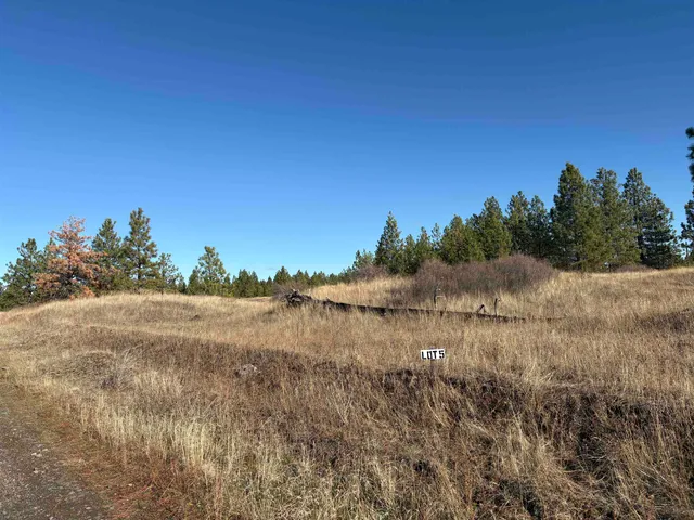 $135,900 | 35390 Prairie Lane North, Unit LOT 5, Davenport, WA 99122