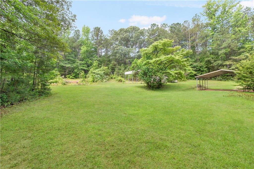 294 Birch Road Franklin, GA 30217 - Photo 28 of 30