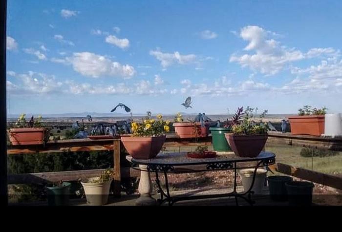 60 County Rd N6420 St. Johns, AZ 85936 - Photo 12 of 19