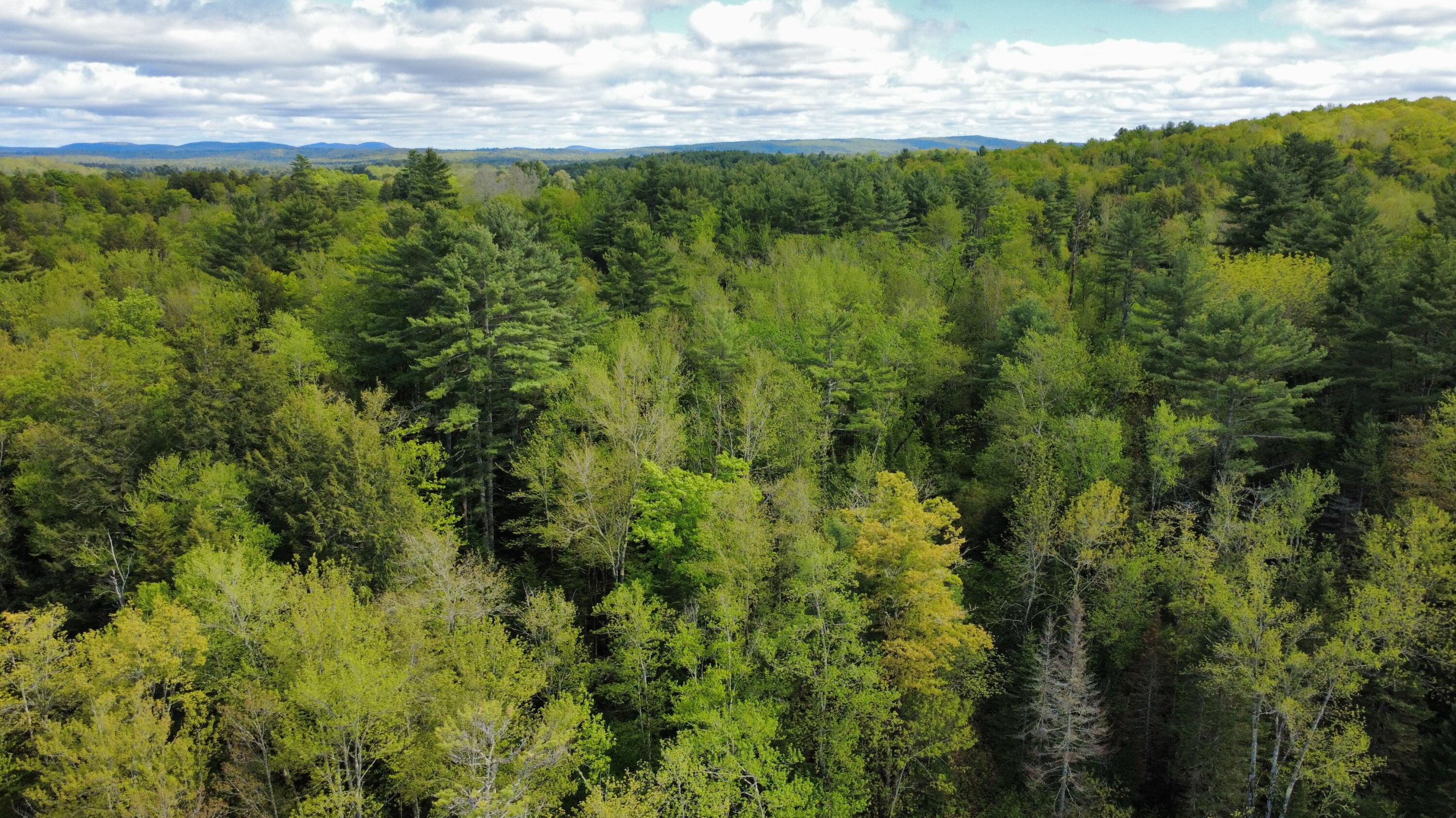 41 Fishtown Road Liberty, ME 04949 - Photo 14 of 18 1000031407