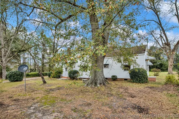 a view of backyard with tree