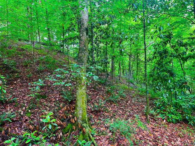 $102,585 | Tbd Rockport New Hebron Road, Newhebron, MS 39140