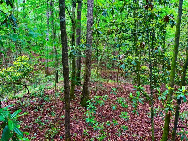 $102,585 | Tbd Rockport New Hebron Road, Newhebron, MS 39140