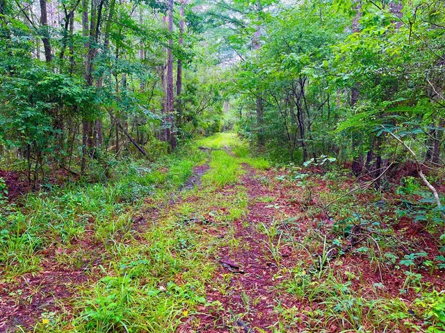 $102,585 | Tbd Rockport New Hebron Road, Newhebron, MS 39140
