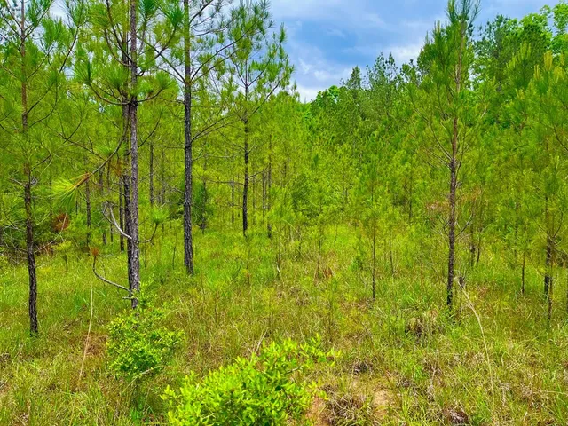 $102,585 | Tbd Rockport New Hebron Road, Newhebron, MS 39140