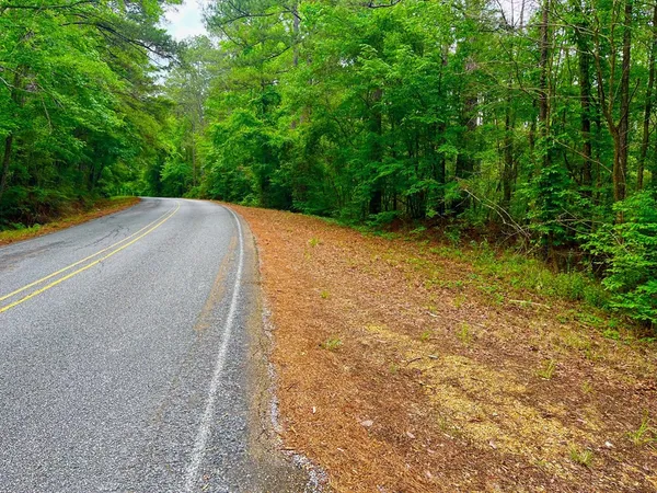 $102,585 | Tbd Rockport New Hebron Road, Newhebron, MS 39140