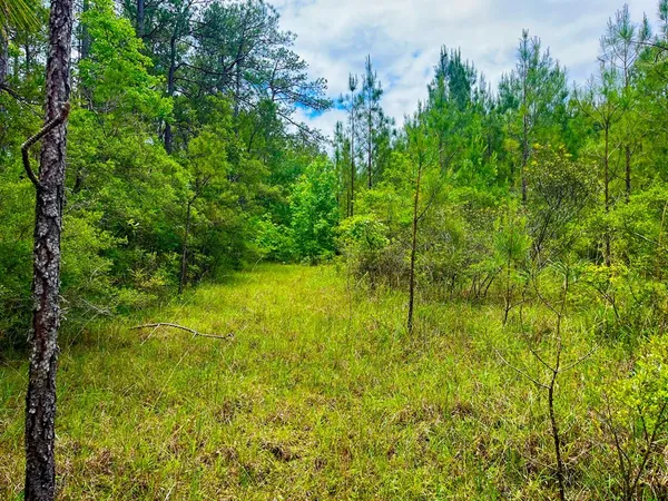 $102,585 | Tbd Rockport New Hebron Road, Newhebron, MS 39140