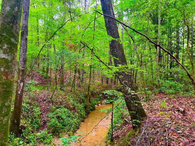 $102,585 | Tbd Rockport New Hebron Road, Newhebron, MS 39140