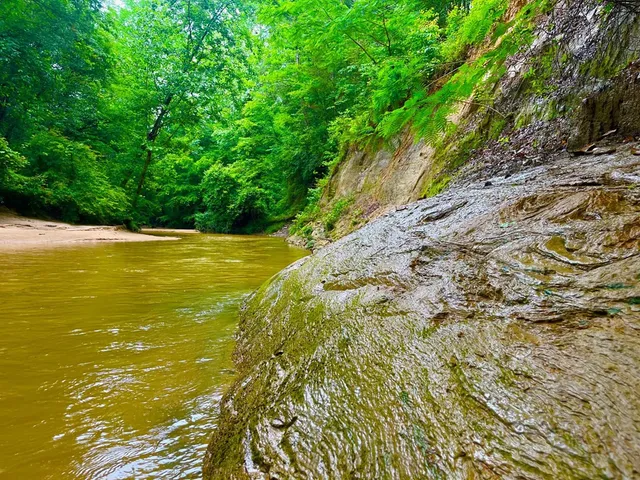 $102,585 | Tbd Rockport New Hebron Road, Newhebron, MS 39140