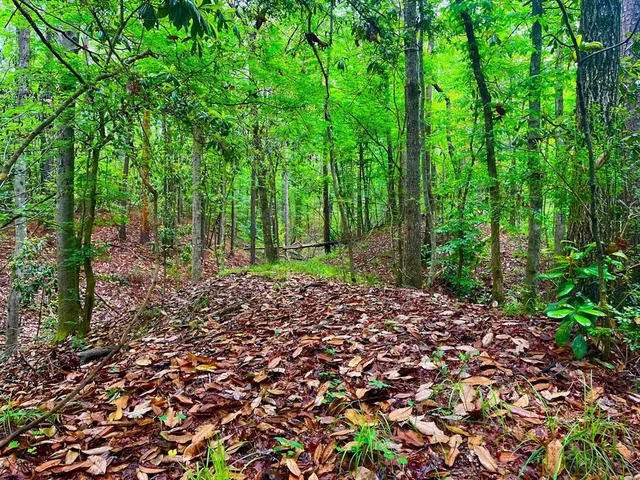 $102,585 | Tbd Rockport New Hebron Road, Newhebron, MS 39140