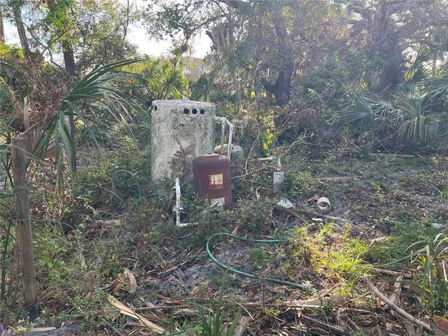 a view of a yard with plants and large trees