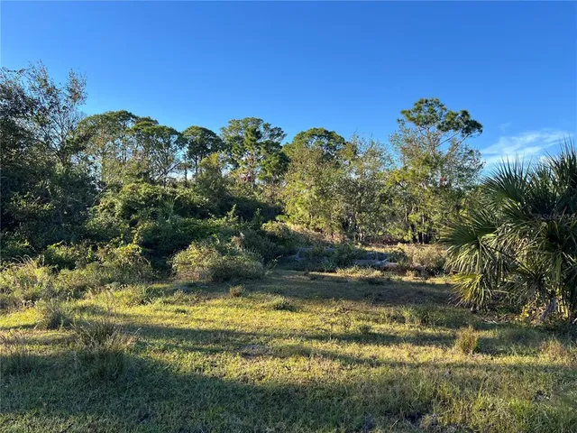 a view of a lake with a yard