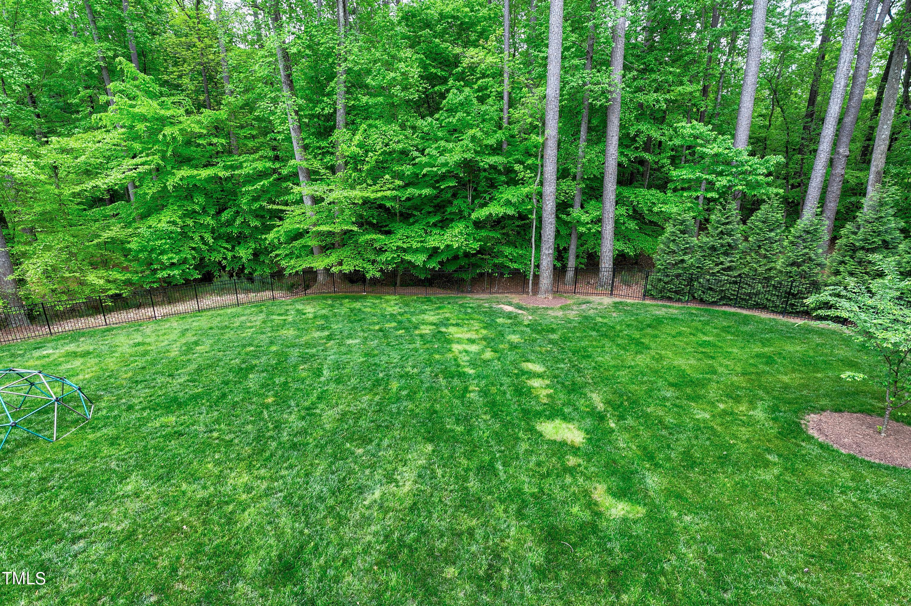 1109 Easterly Court Raleigh, NC 27615 - Photo 77 of 87 77-Scene-77