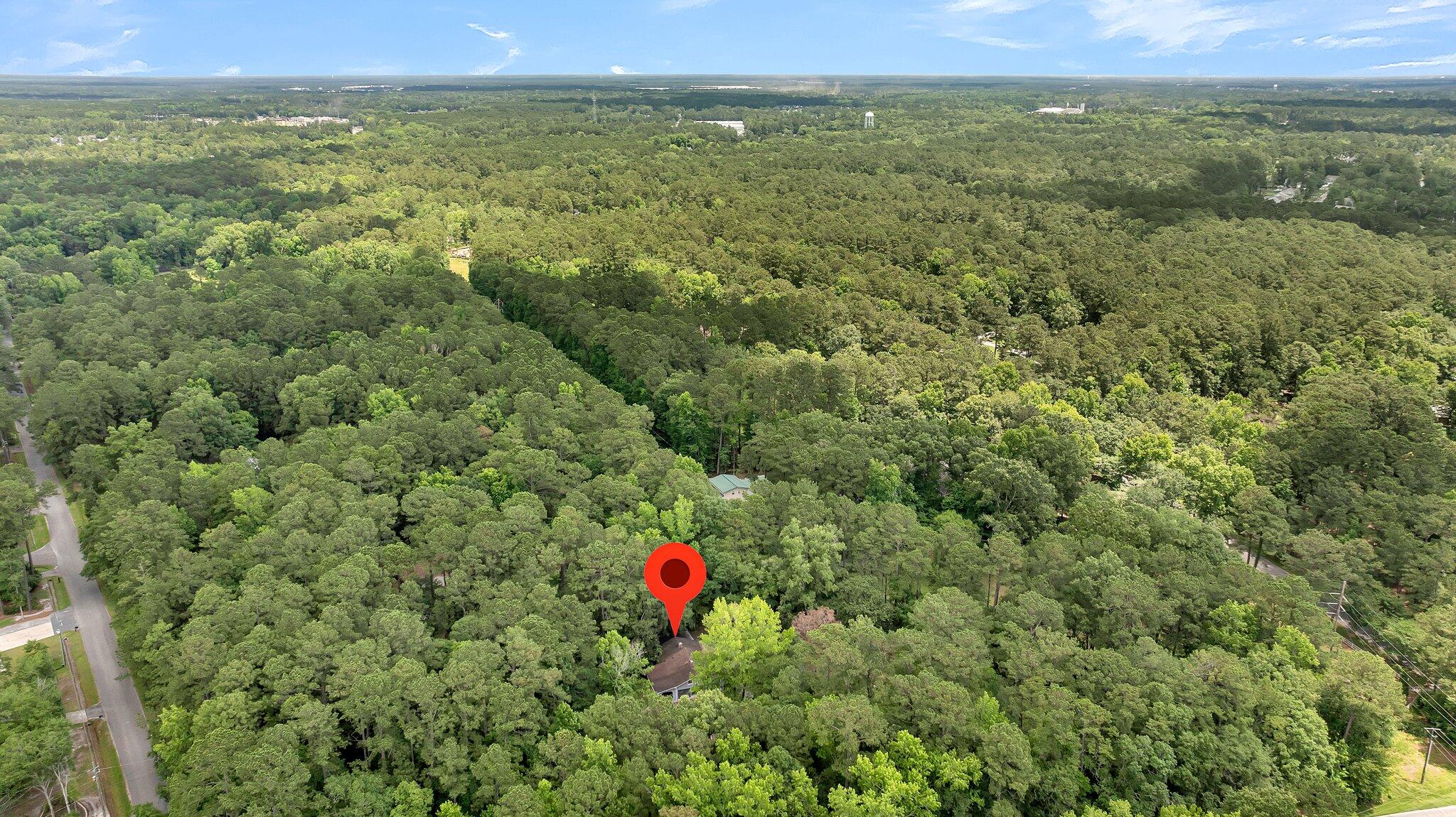 100 County Rd S-18-417 Summerville, SC 29483 - Photo 44 of 48 100 Cantering Hills Lane