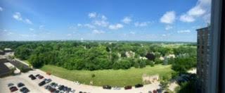 1 Renaissance Place, Unit 1100 Palatine, IL 60067 - Photo 28 of 28 a view of a garden