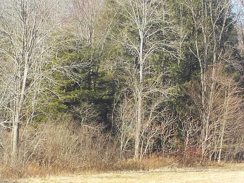 Wattsburg Road Wattsburg, PA 16442 - Photo 13 of 15 a view of a yard