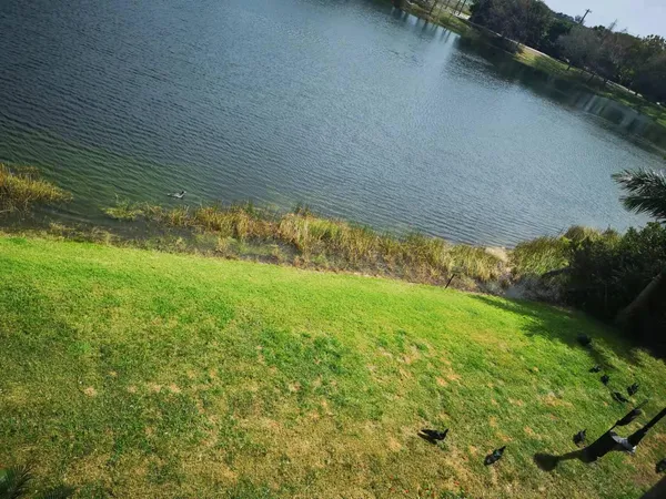 $2,600 | 1660 Renaissance Commons Boulevard, Unit 2309, Boynton Beach, FL 33426