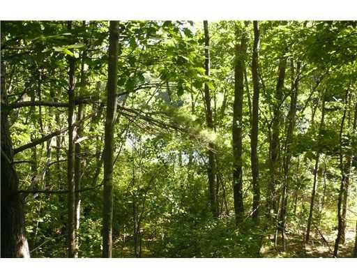 489 River Road Arundel, ME 04046 - Photo 3 of 7 Land/Lot. View from top of knoll...